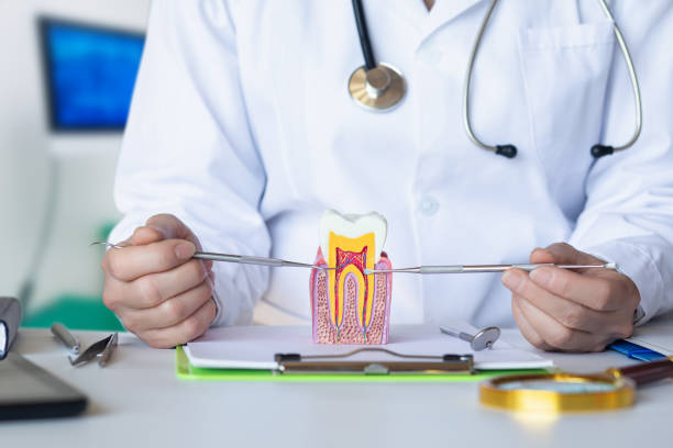 Best Emergency Root Canal Treatment in St Paul, MO